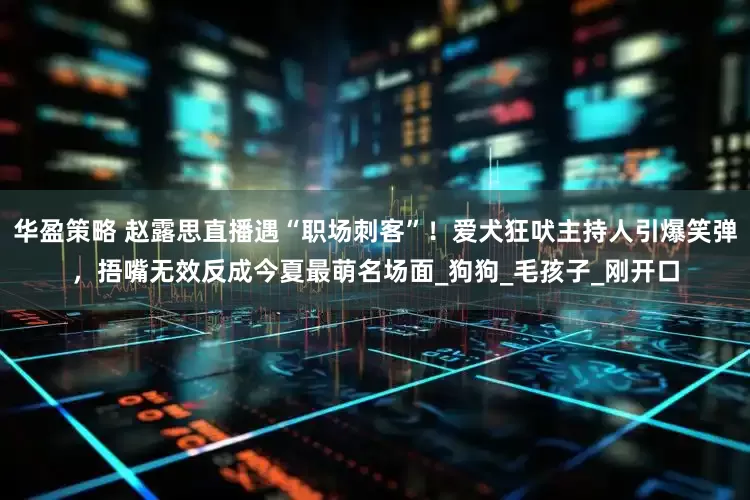 华盈策略 赵露思直播遇“职场刺客”！爱犬狂吠主持人引爆笑弹，捂嘴无效反成今夏最萌名场面_狗狗_毛孩子_刚开口