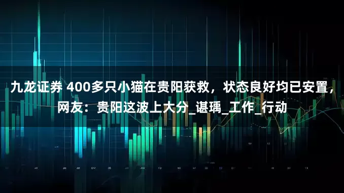 九龙证券 400多只小猫在贵阳获救，状态良好均已安置，网友：贵阳这波上大分_谌瑀_工作_行动